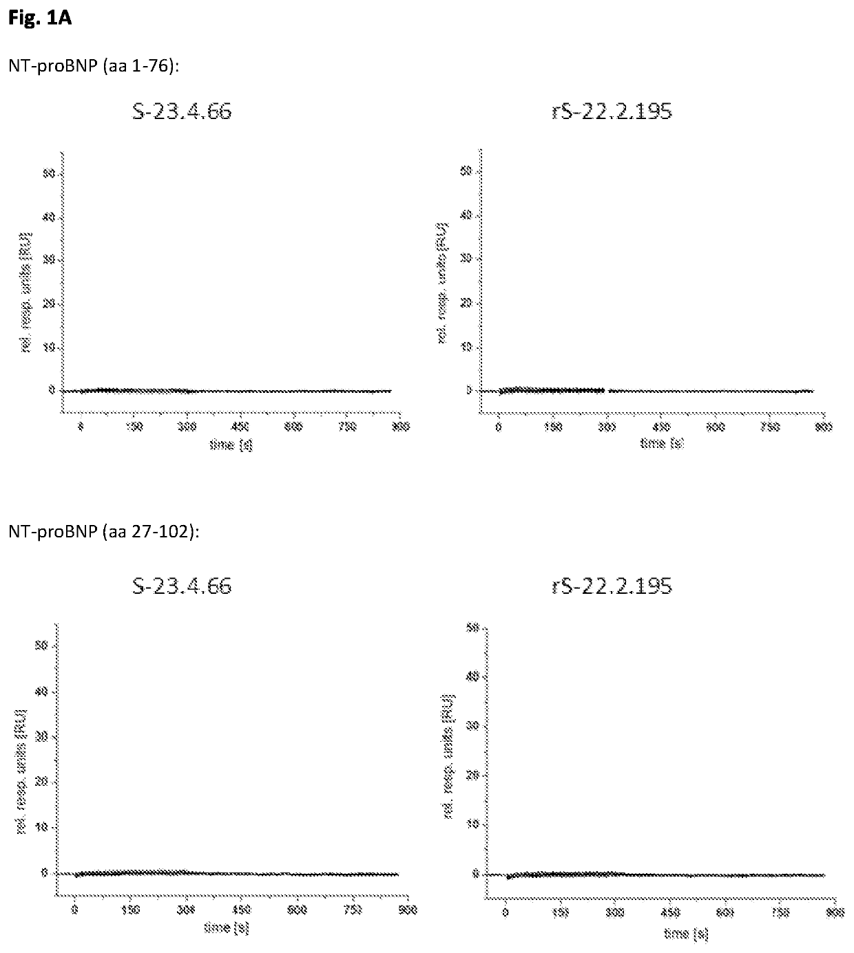 Antibodies recognizing genetic variants of NT-proBNP