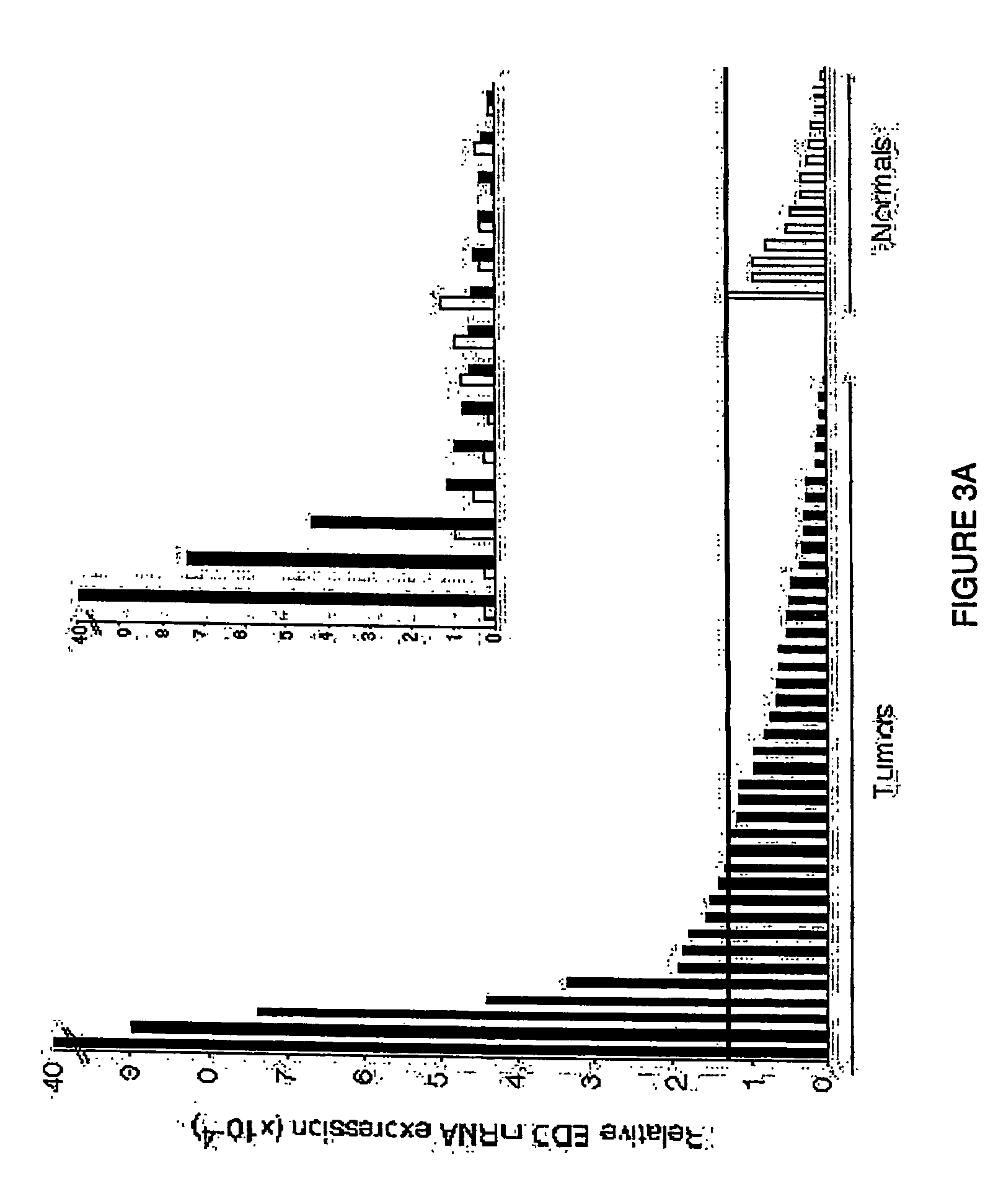 Novel diagnostic and therapeutic methods and reagents therefor