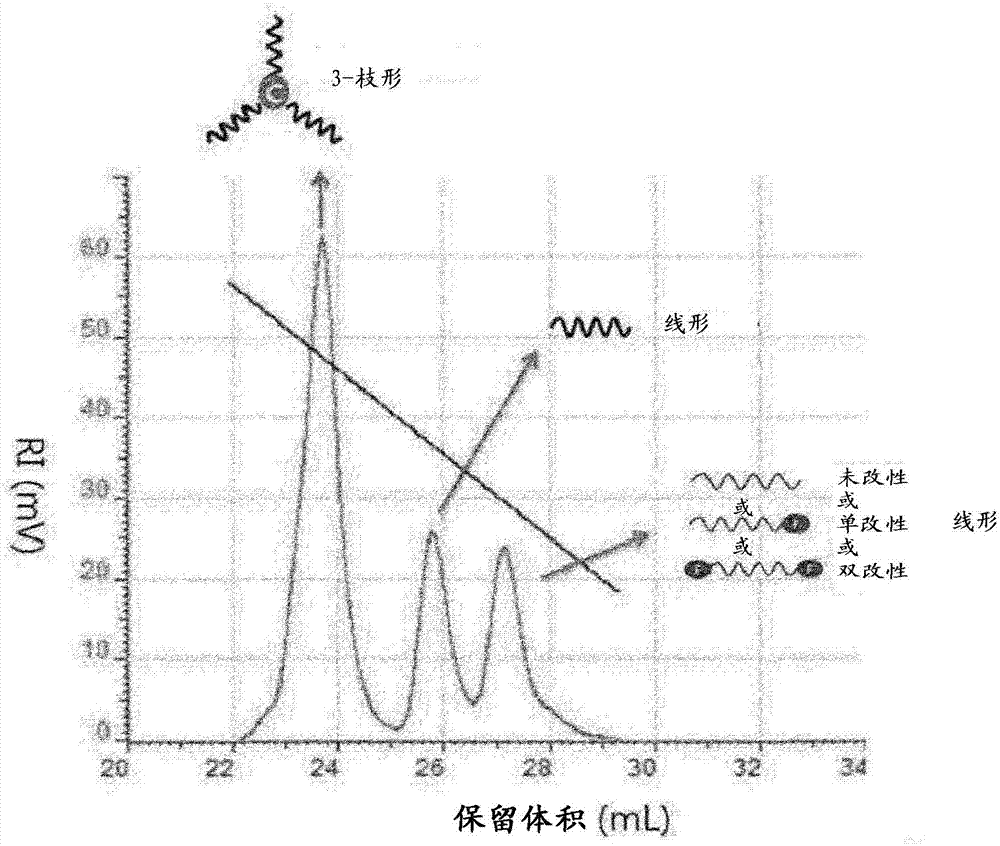 A production process of modified conjugated diene-based polymer and a rubber composition using the polymer prepared by this process