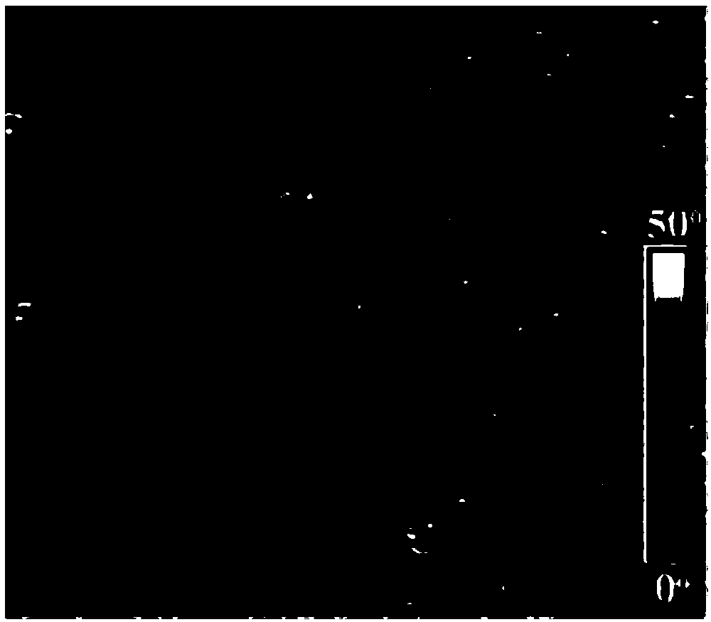 Carbazolamine structure and naphthalimide fluorophore containing polyimide derivative and preparation method and application thereof