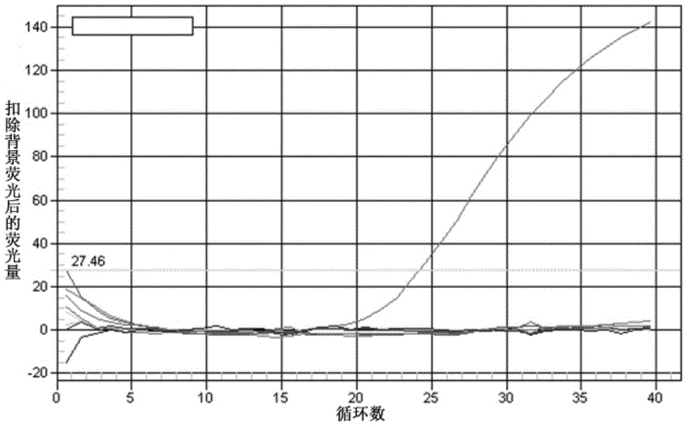 Kit for detecting goldfish haematopoietic necrosis virus and application thereof