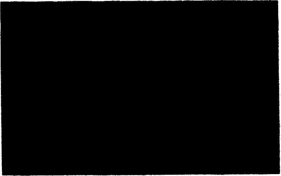 Method for preparing carbon nano-tube/poly L-cysteine composite modified glassy carbon electrode