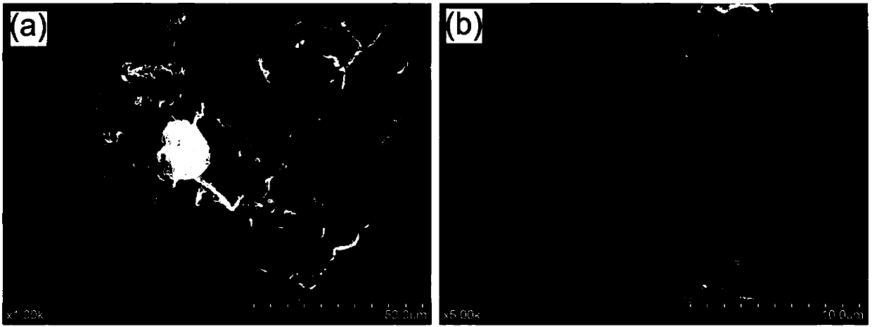 A kind of nitrogen-doped three-dimensional graphene catalyst and preparation method thereof