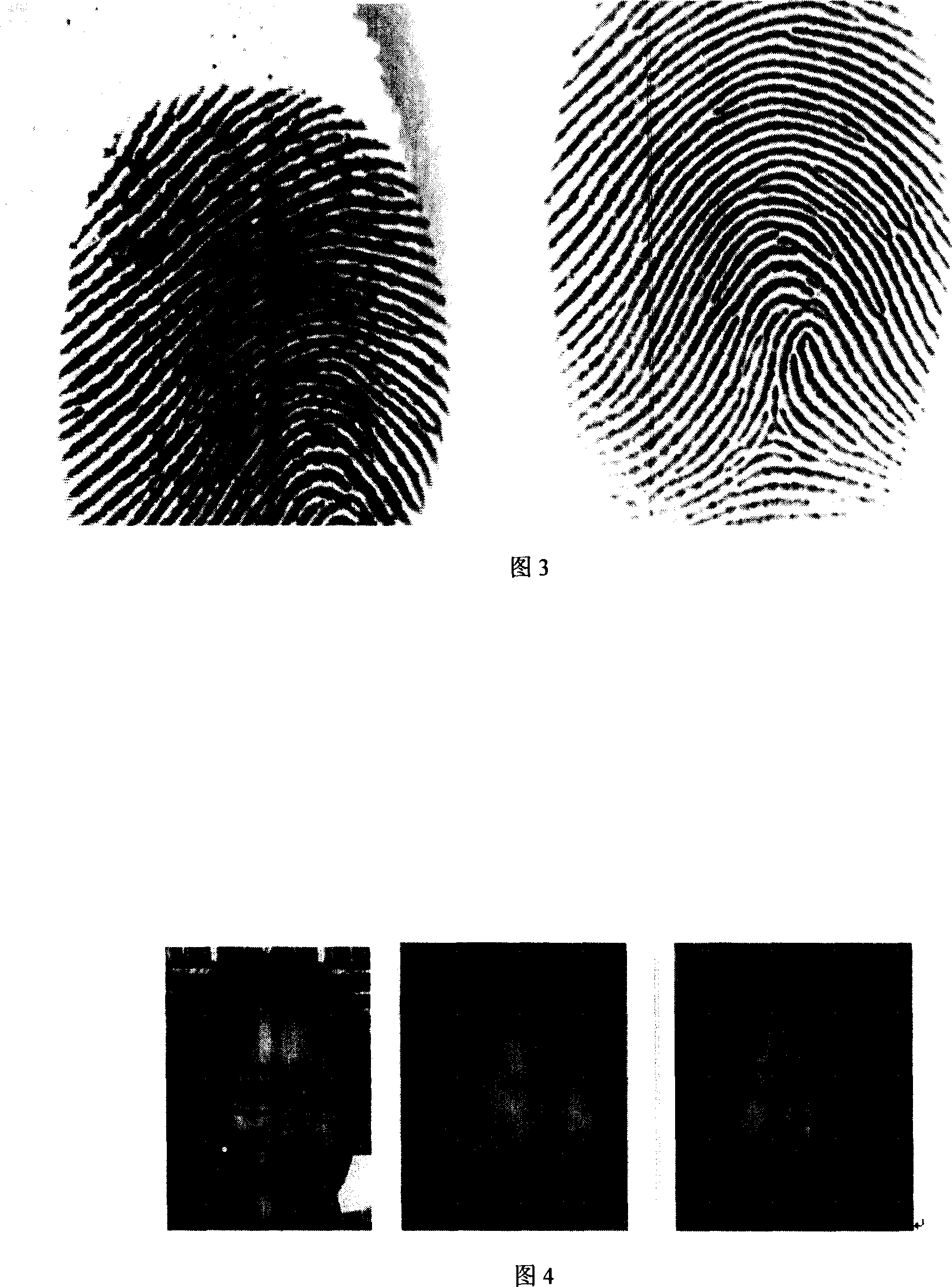 Method for binding/recovering key using fingerprint details
