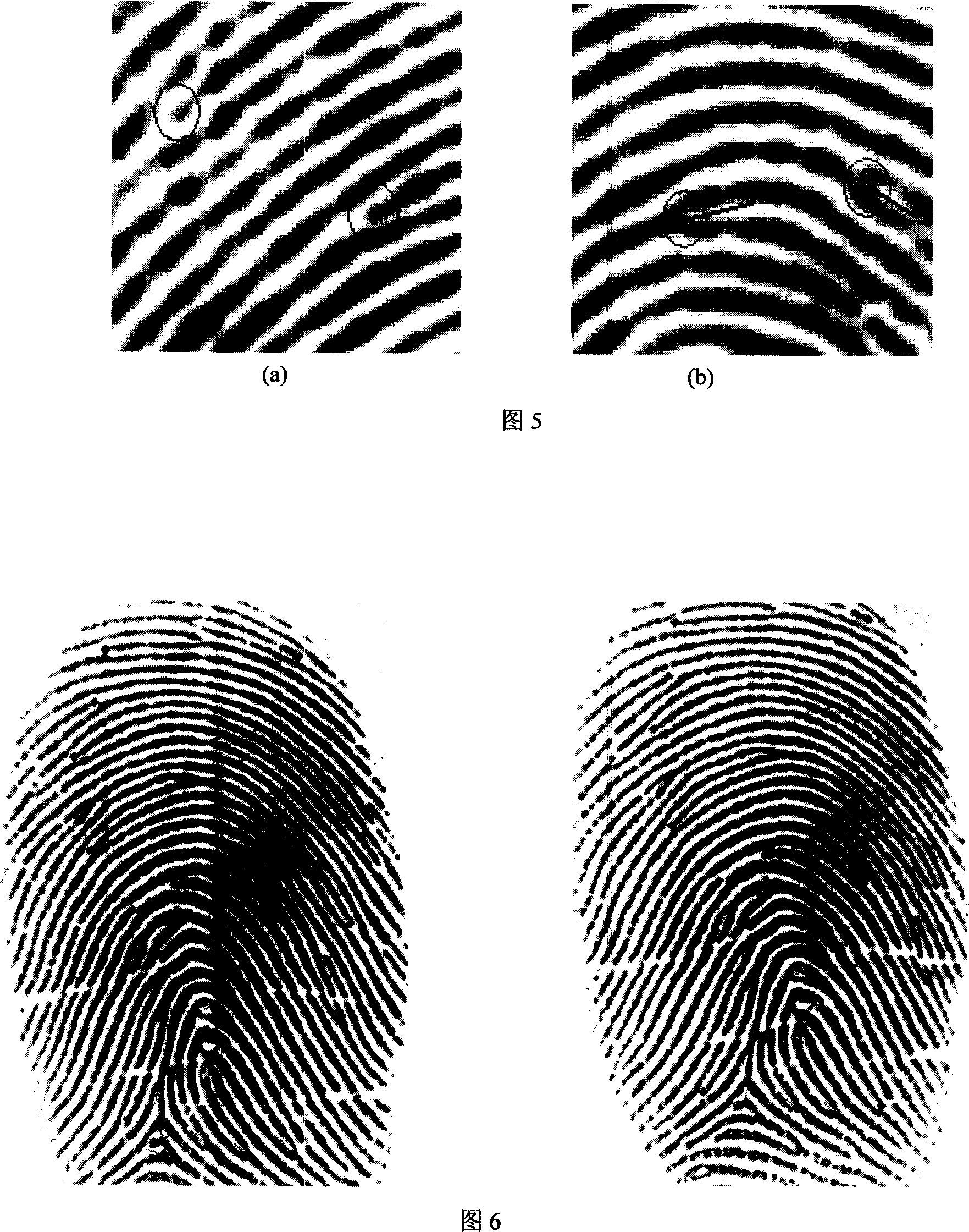 Method for binding/recovering key using fingerprint details
