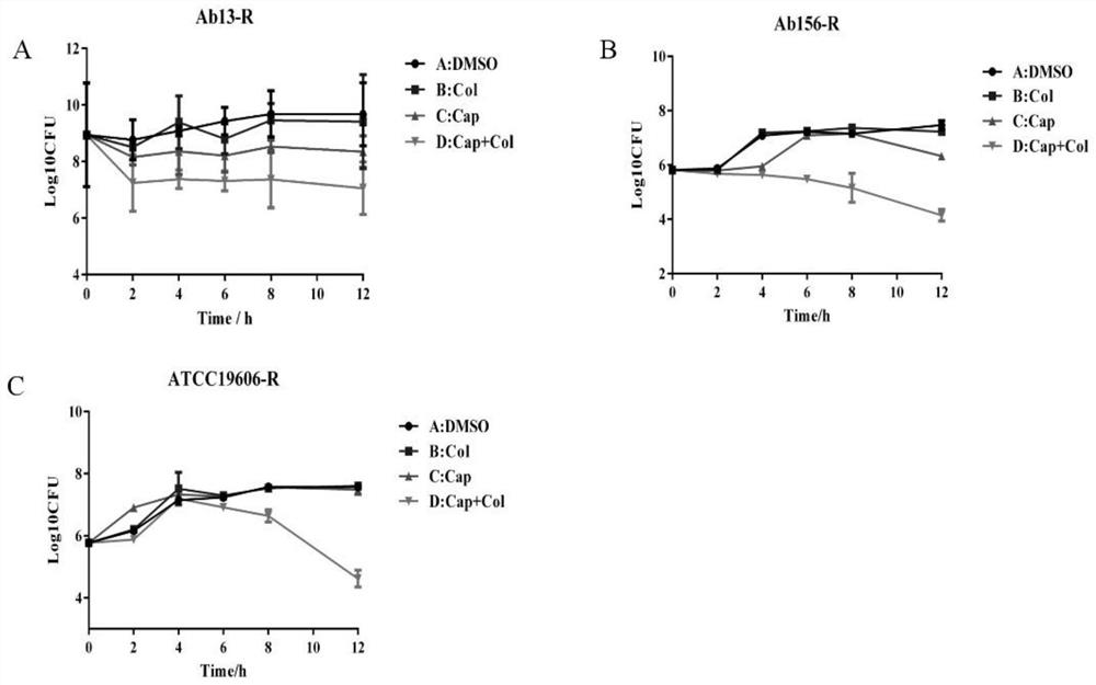 Application of capsaicin and colistin in the preparation of drugs for inhibiting Acinetobacter baumannii infection