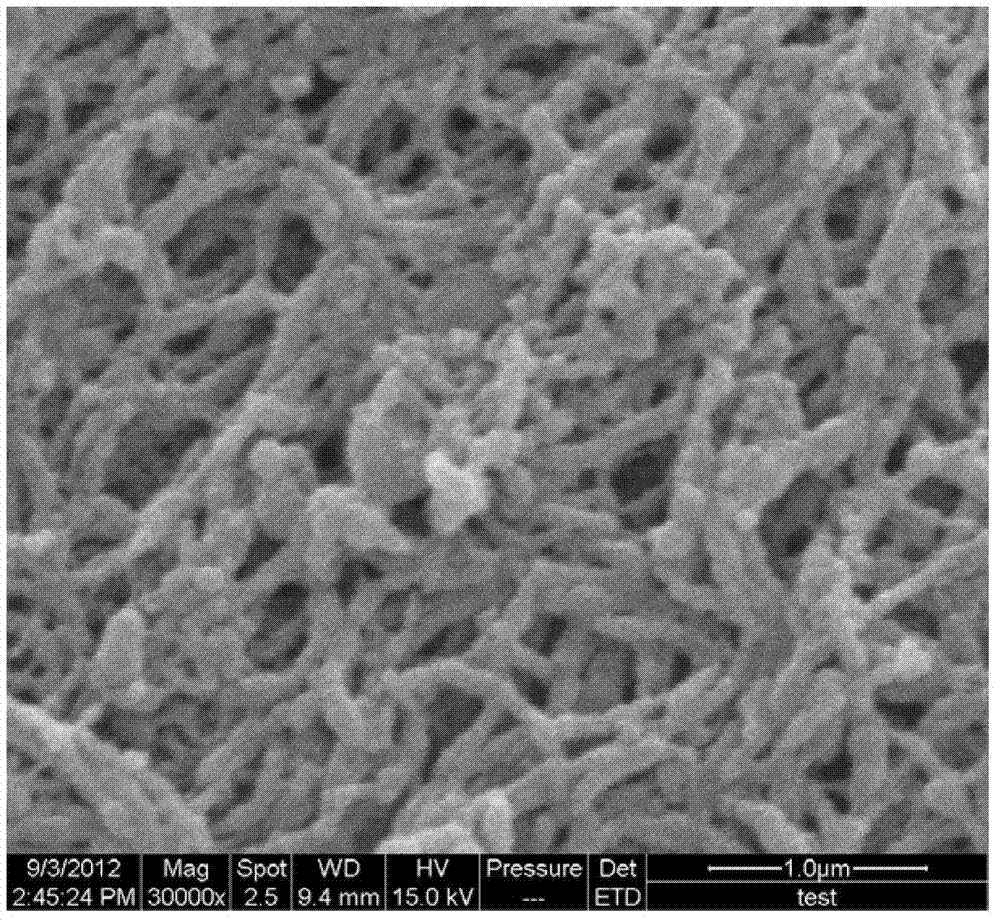Method for preparing inorganic oxide aerogel by taking biomass nanometer fibrillation cellulose as template