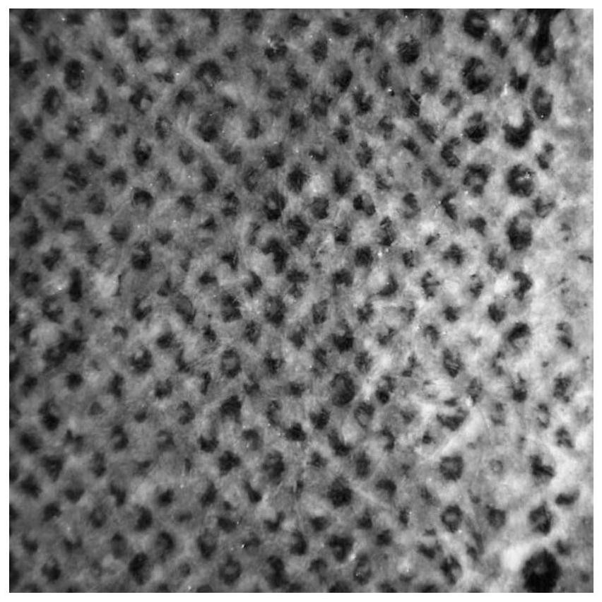 Impregnating adhesive, impregnated bond paper and preparation method of veneer of impregnated bond paper