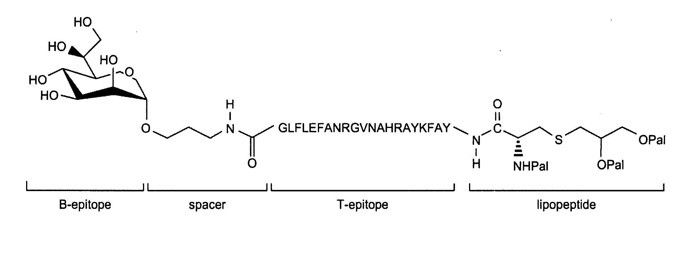 Glycopeptide and uses thereof