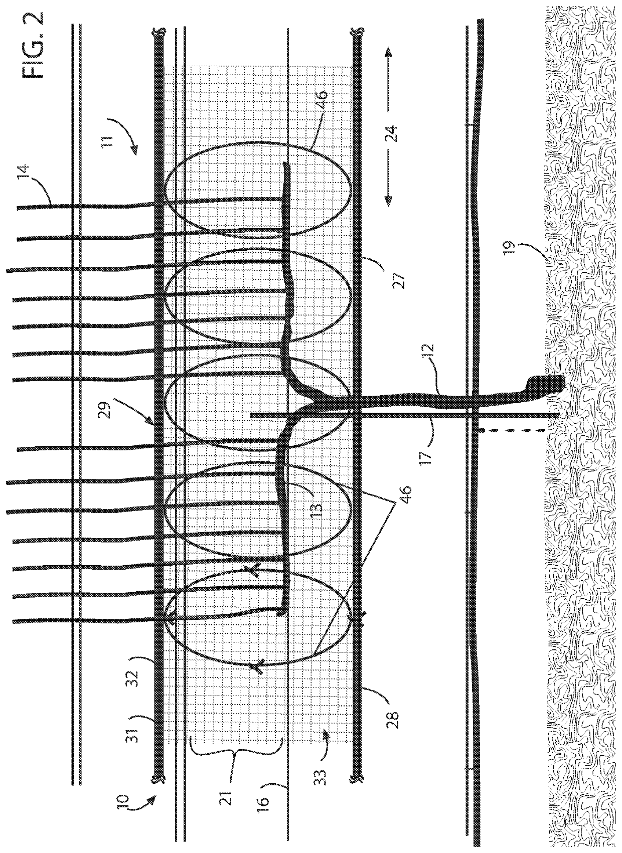 Vineyard fruit protection apparatus and process