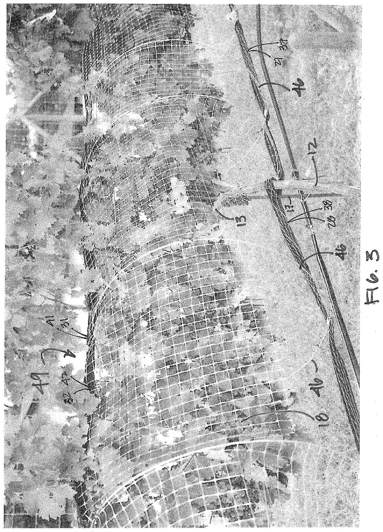 Vineyard fruit protection apparatus and process