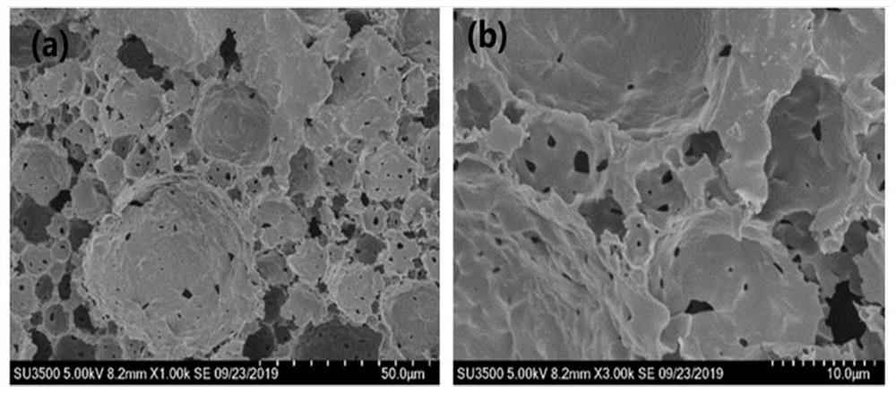 Application of hierarchical pore structure high polymer material as slow-release base material