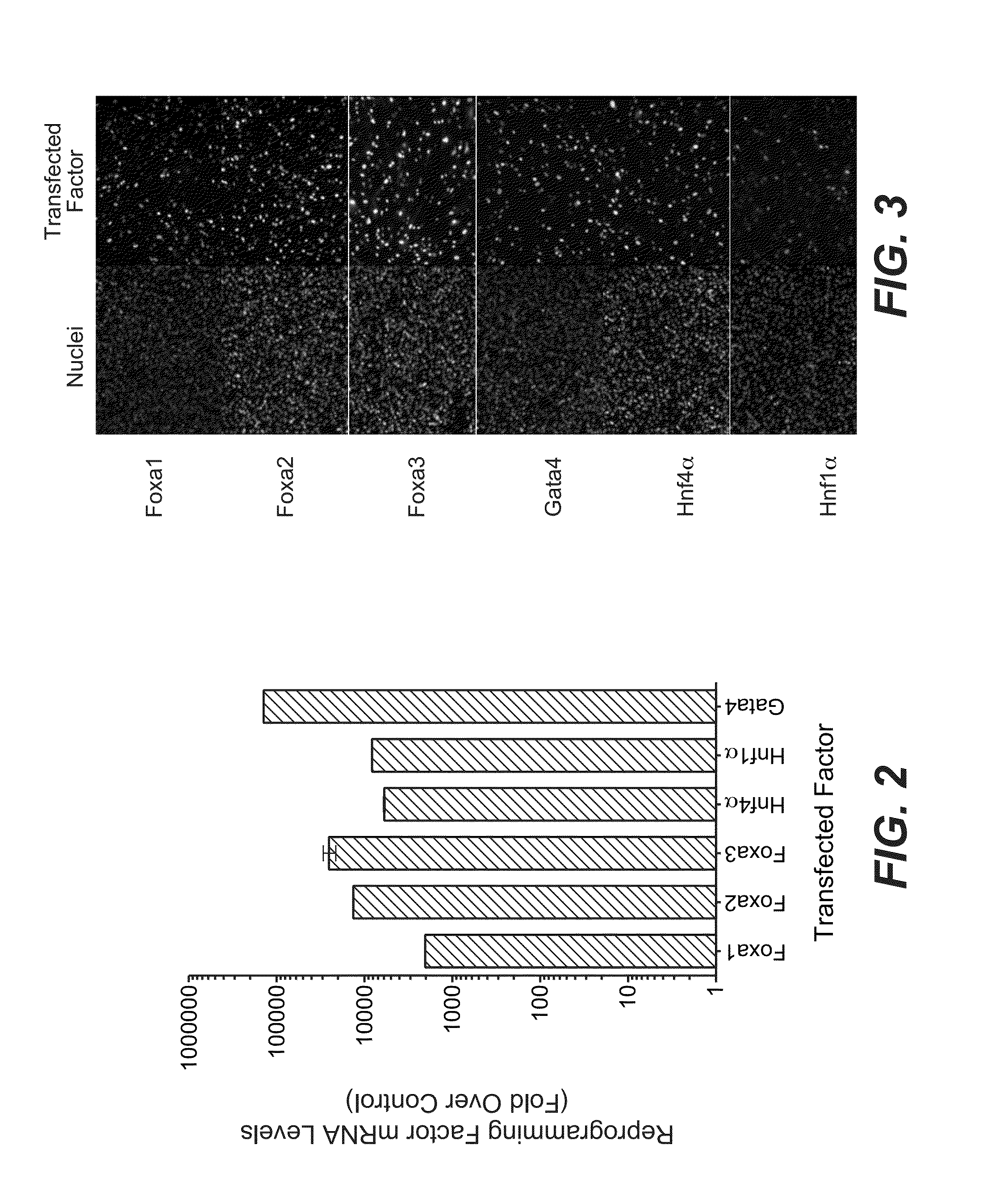 Methods and compositions for producing induced hepatocytes