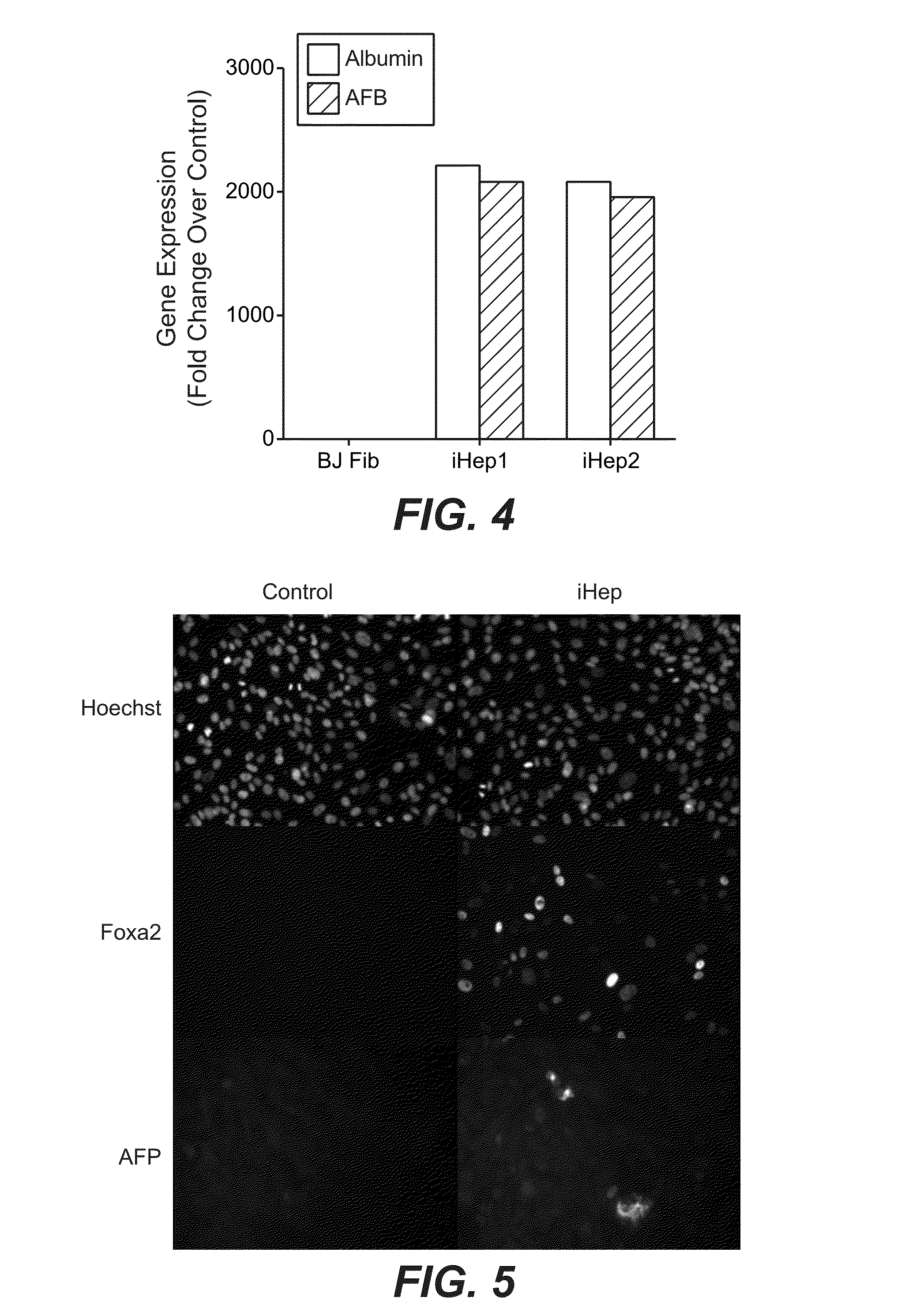 Methods and compositions for producing induced hepatocytes