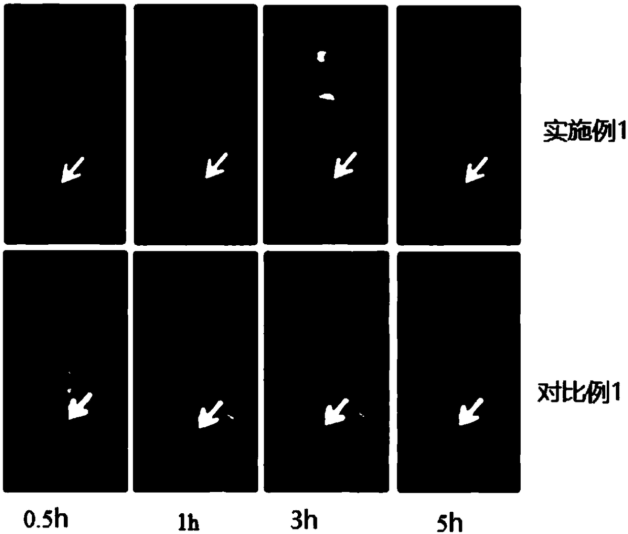 Graphene oxide targeted drug carrier material as well as preparation method and application thereof