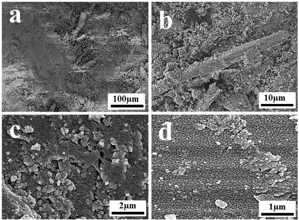 Composite photocatalytic diatomaceous plate and preparation method thereof