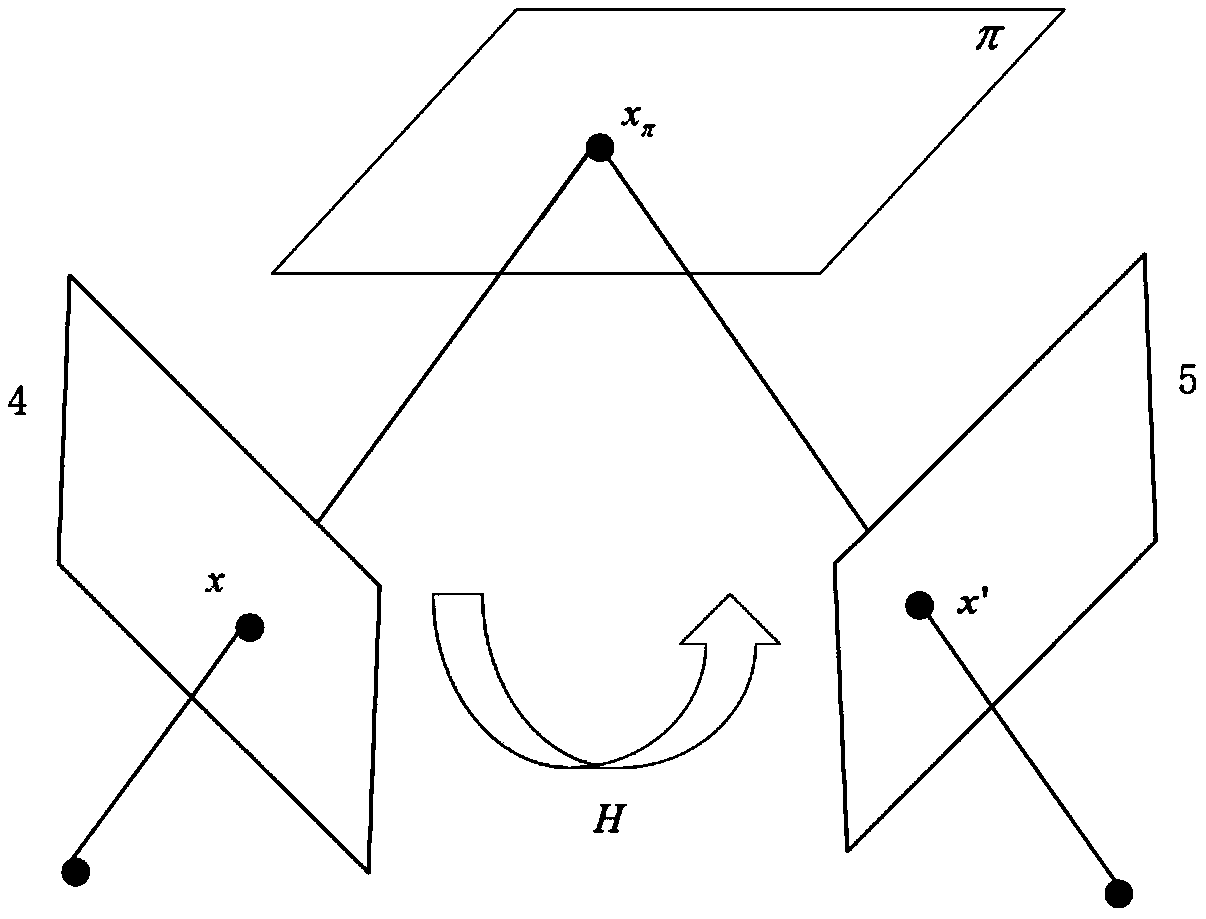 System and method for measuring parallel multi-line laser based on homography matrix