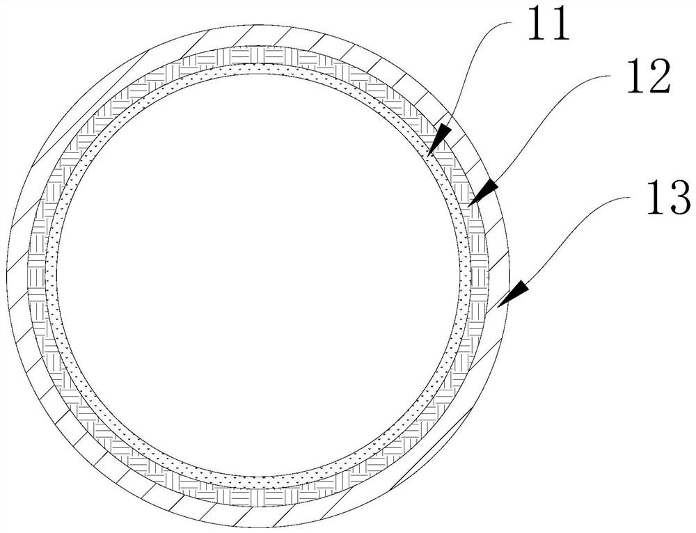 Gaseous pollutant removal structure, discharge structure and gas purification device