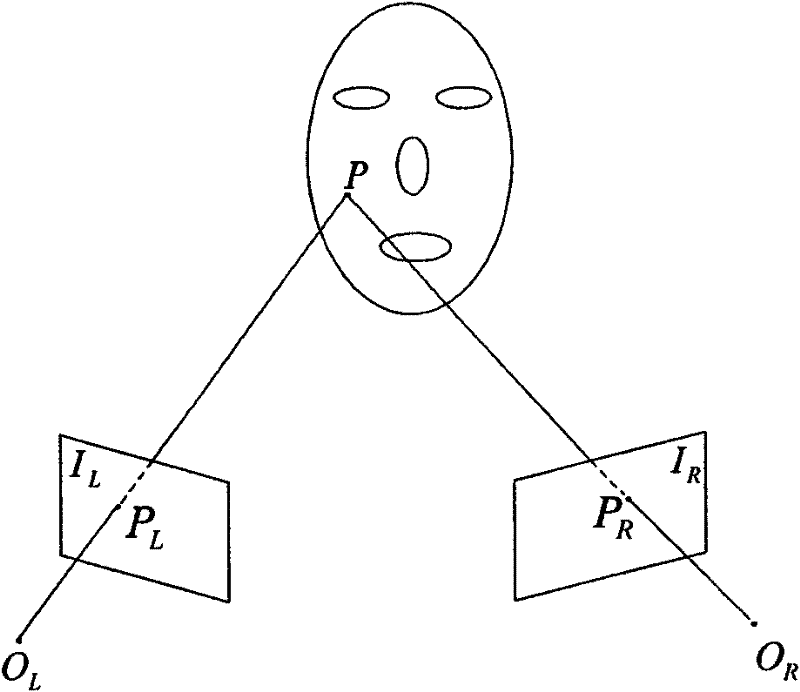 Three-dimensional human face reconstruction method based on stereoscopic vision