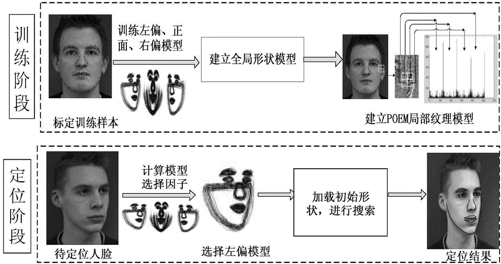 Human face feature extracting method based on active shape model and POEM (patterns of oriented edge magnituedes) texture model in complicated background