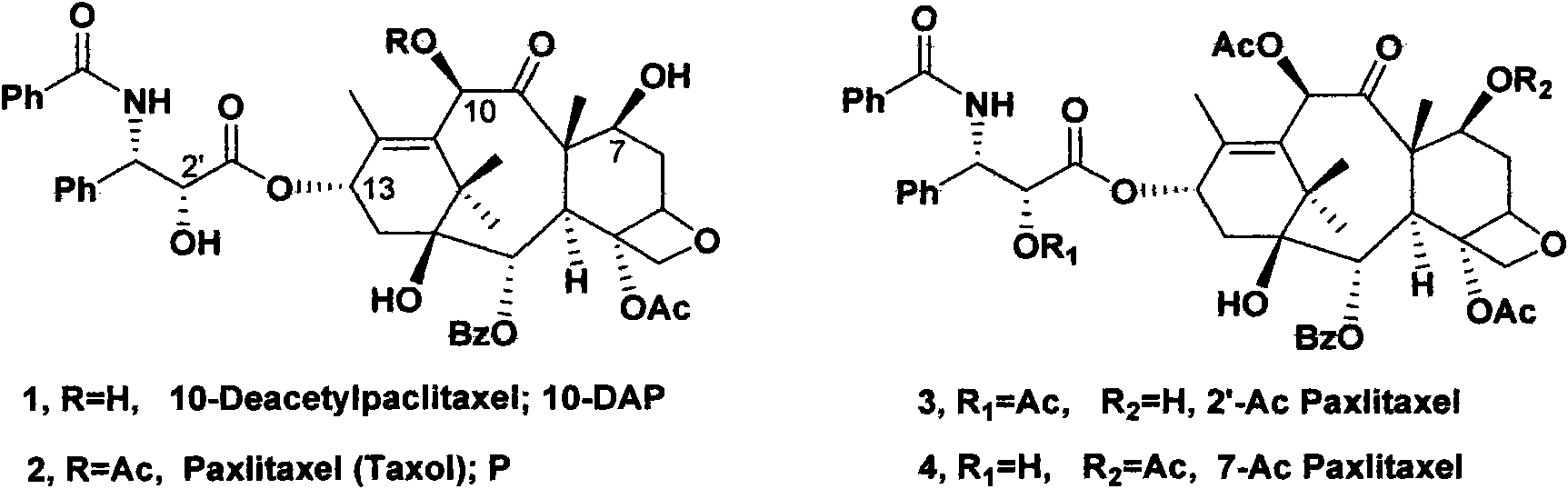 Method of preparing taxol by separating 10-deacetyl taxol acylate