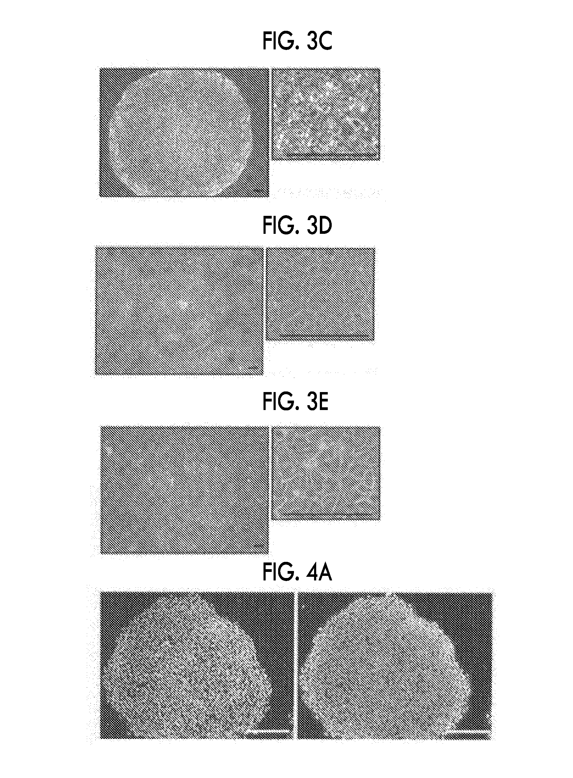 Culture method for pluripotent stem cells, culture kit, and medium for pluripotent stem cell culture
