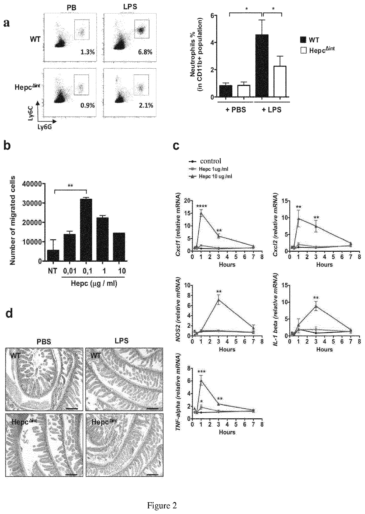 Hepcidin antagonists for use in the treatment of inflammation