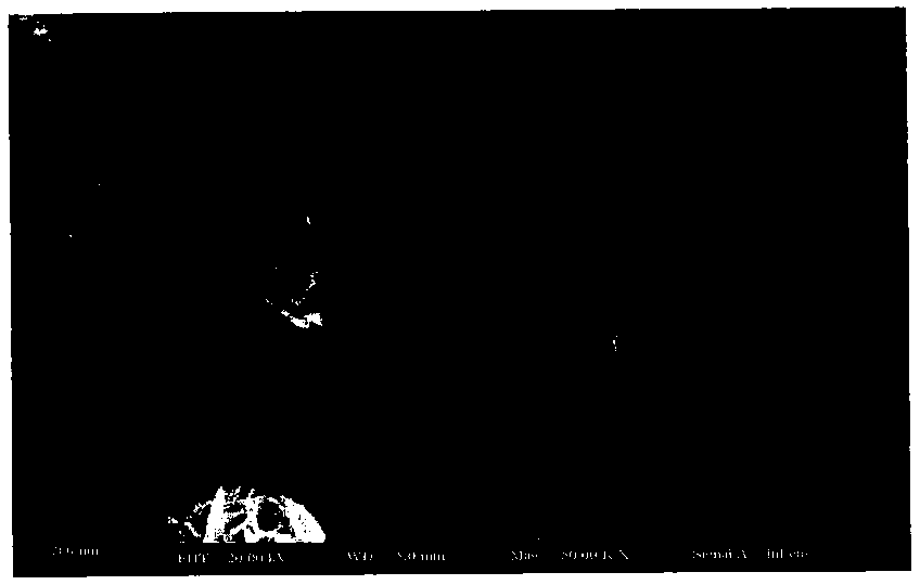 Preparation method of titanium dioxide sheet/graphene composite film with {001} crystal face