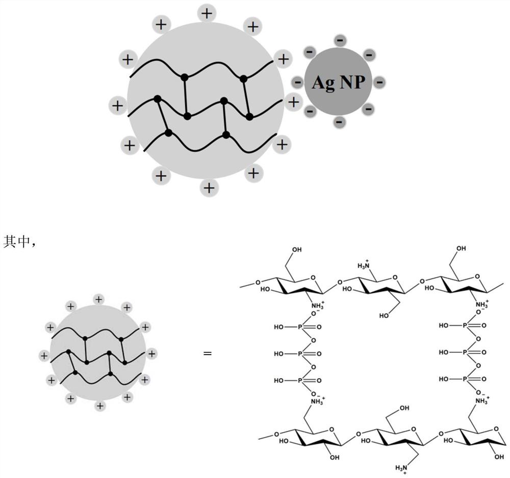 A chitosan microsphere-loaded nano-silver antibacterial polypropylene material, composite antibacterial agent and preparation method thereof