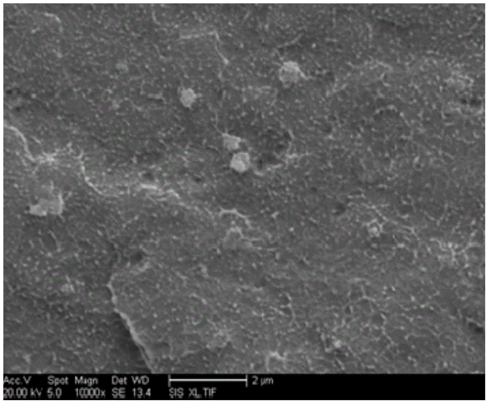 Preparation method and application of metal modified MCM-41 molecular screen