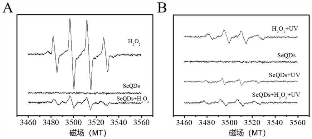 Preparation of traceable ultra-small nano-selenium and its application in Alzheimer's disease