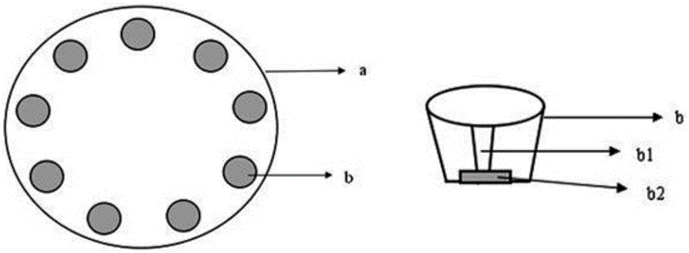 Method for preparing pesticide for preventing and treating termite