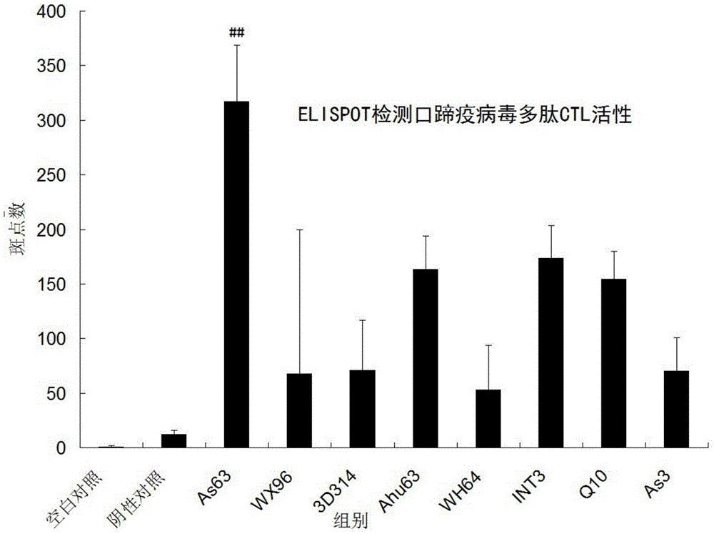 Method for preparing tetramer from Asia I foot and mouth disease virus polypeptide