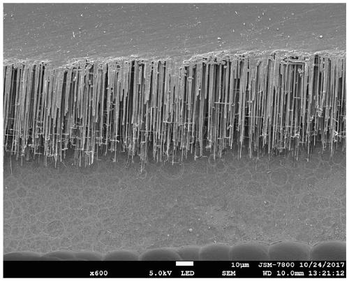 Anode foil corrosion process for aluminum electrolytic capacitor