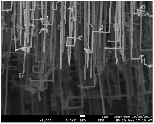 Anode foil corrosion process for aluminum electrolytic capacitor