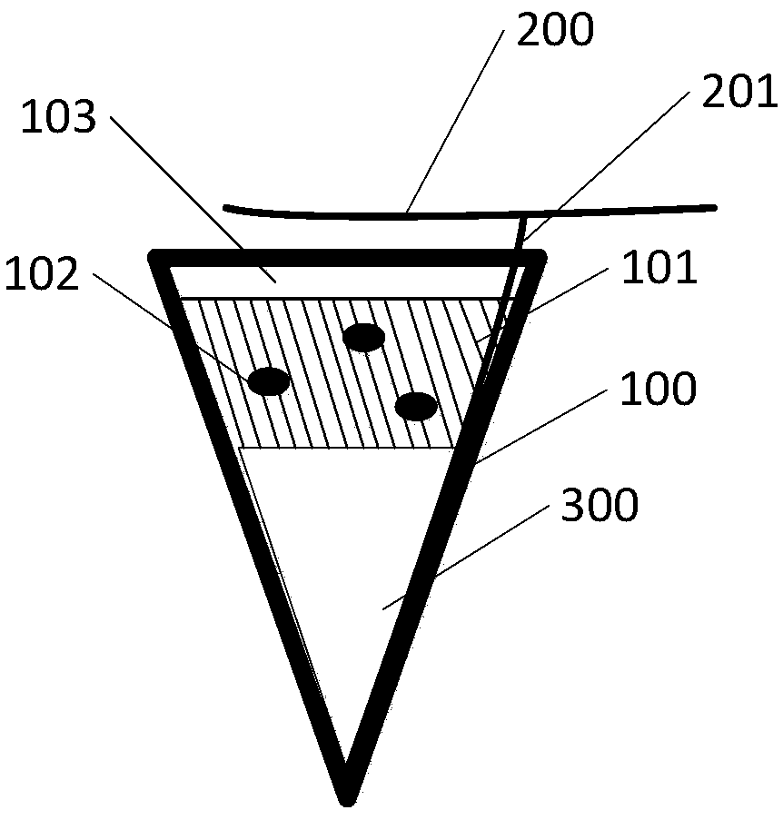 Method for rapid growth of vegetation in desertified sandy land