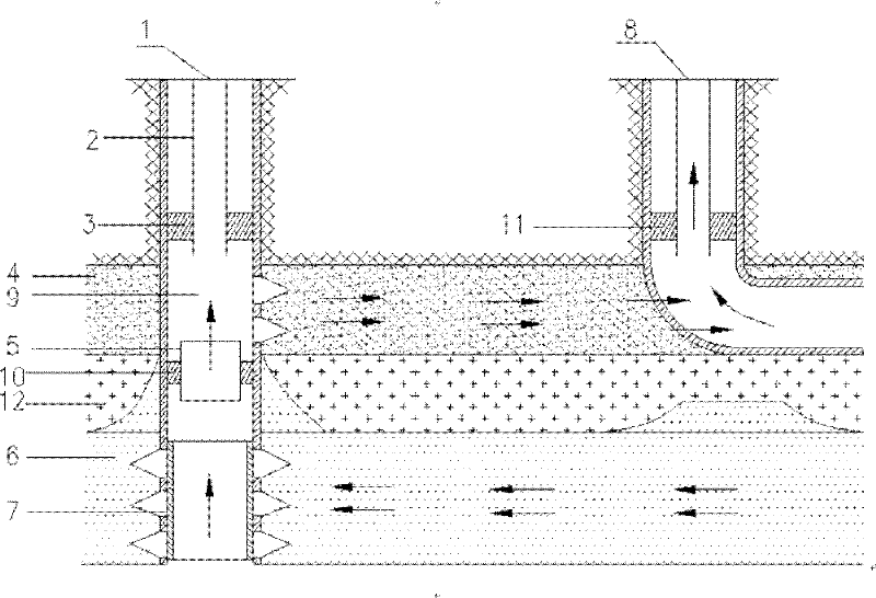 Method for producing oil by changing bottom water reservoir oil well into water dumping well and oil production well system