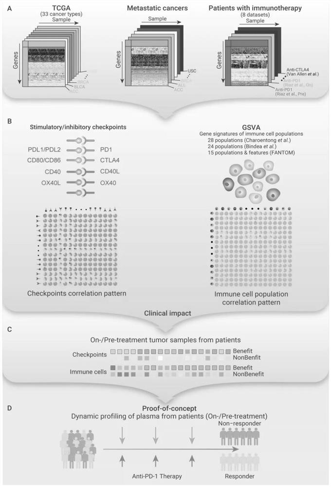 Immunotherapy curative effect prediction marker and prediction model construction and application