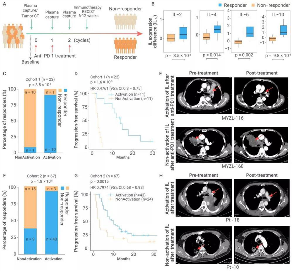 Immunotherapy curative effect prediction marker and prediction model construction and application