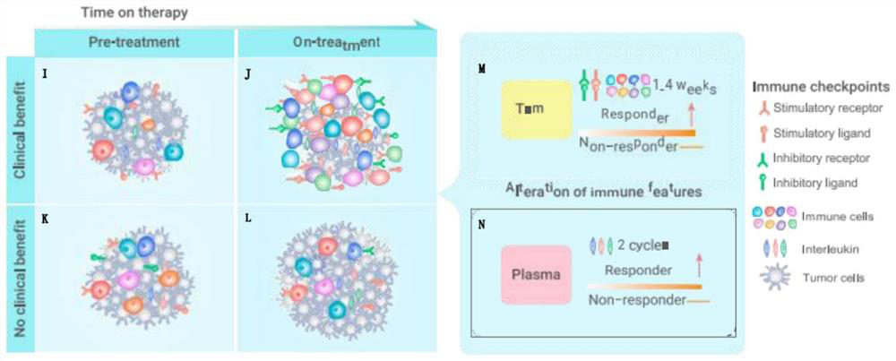 Immunotherapy curative effect prediction marker and prediction model construction and application