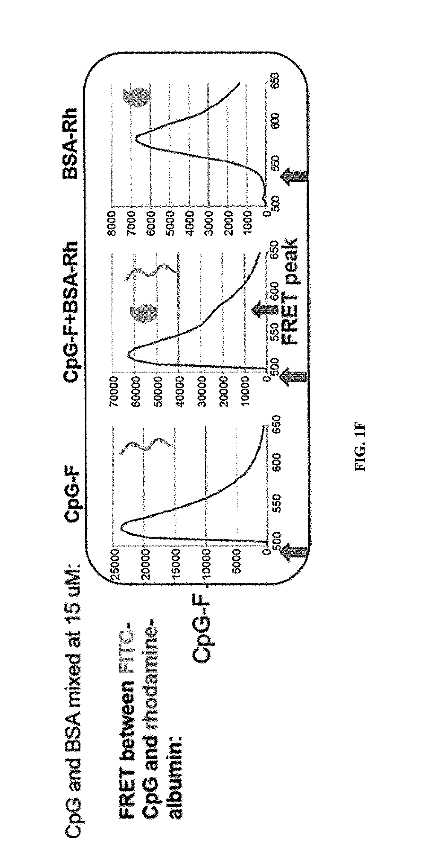 Immunostimulatory compositions and methods of use thereof