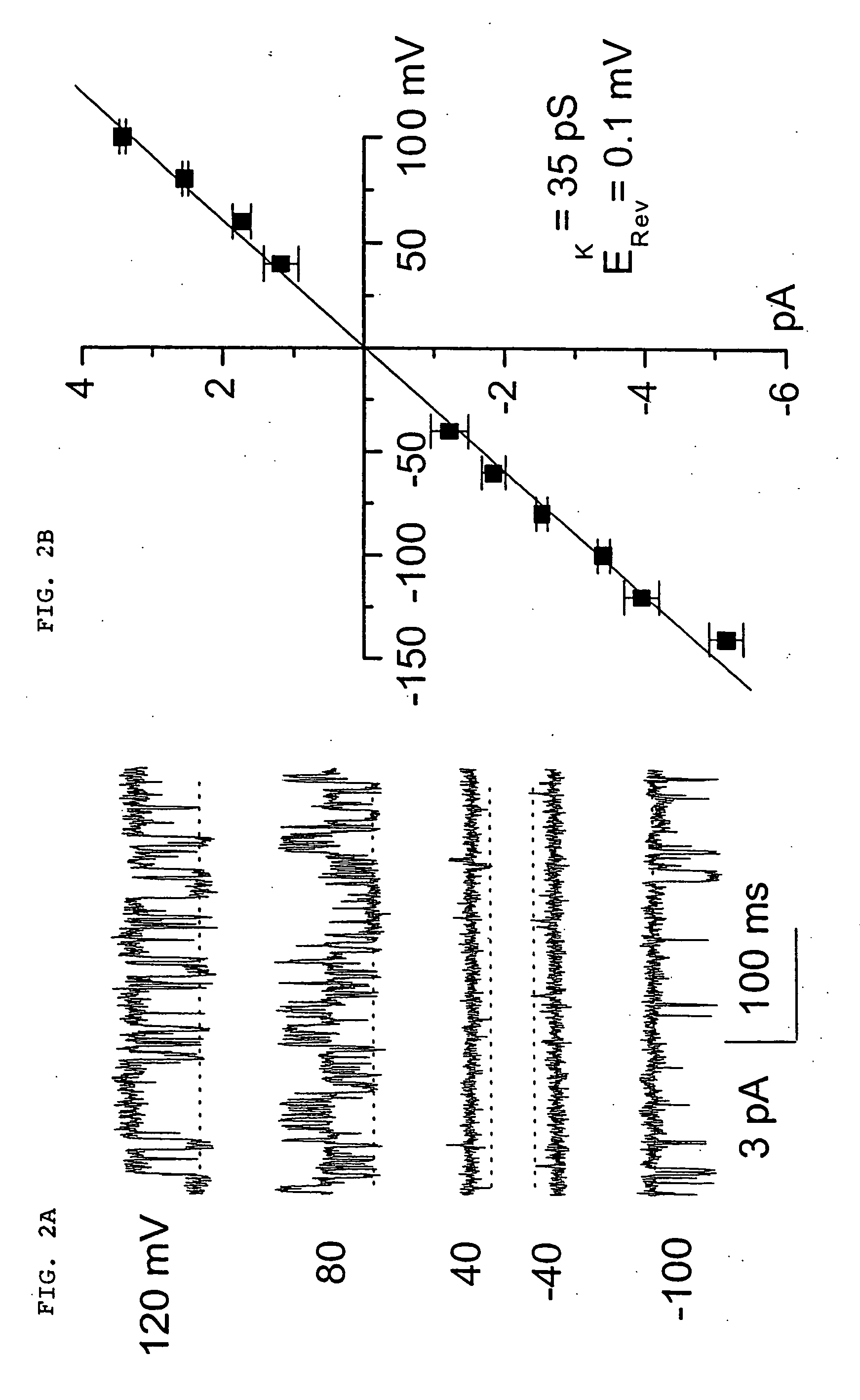 Novel non-selective cation channel in neural cells and method for treating brain swelling