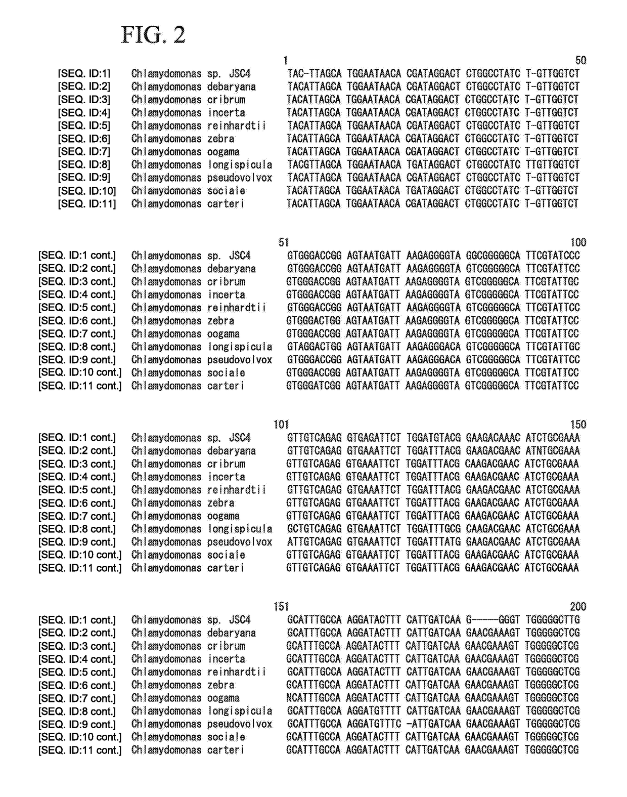 Method for generating oil/fat component from chlamydomonas algae