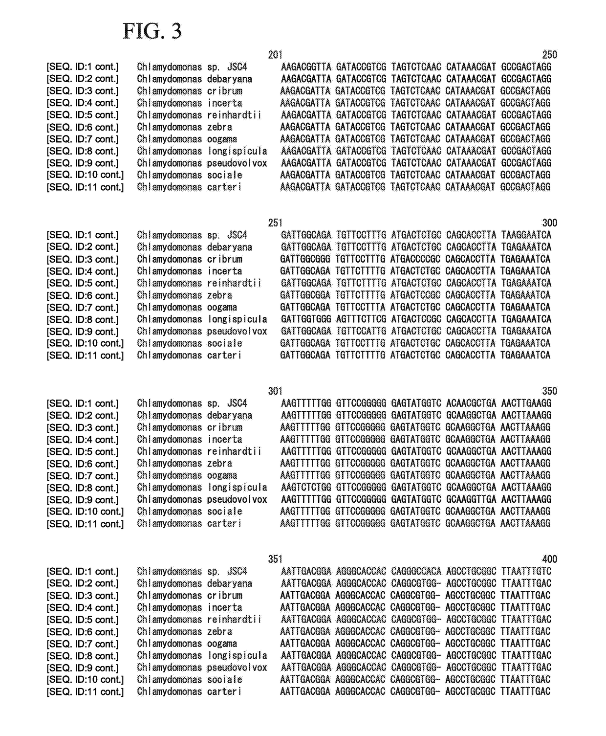 Method for generating oil/fat component from chlamydomonas algae