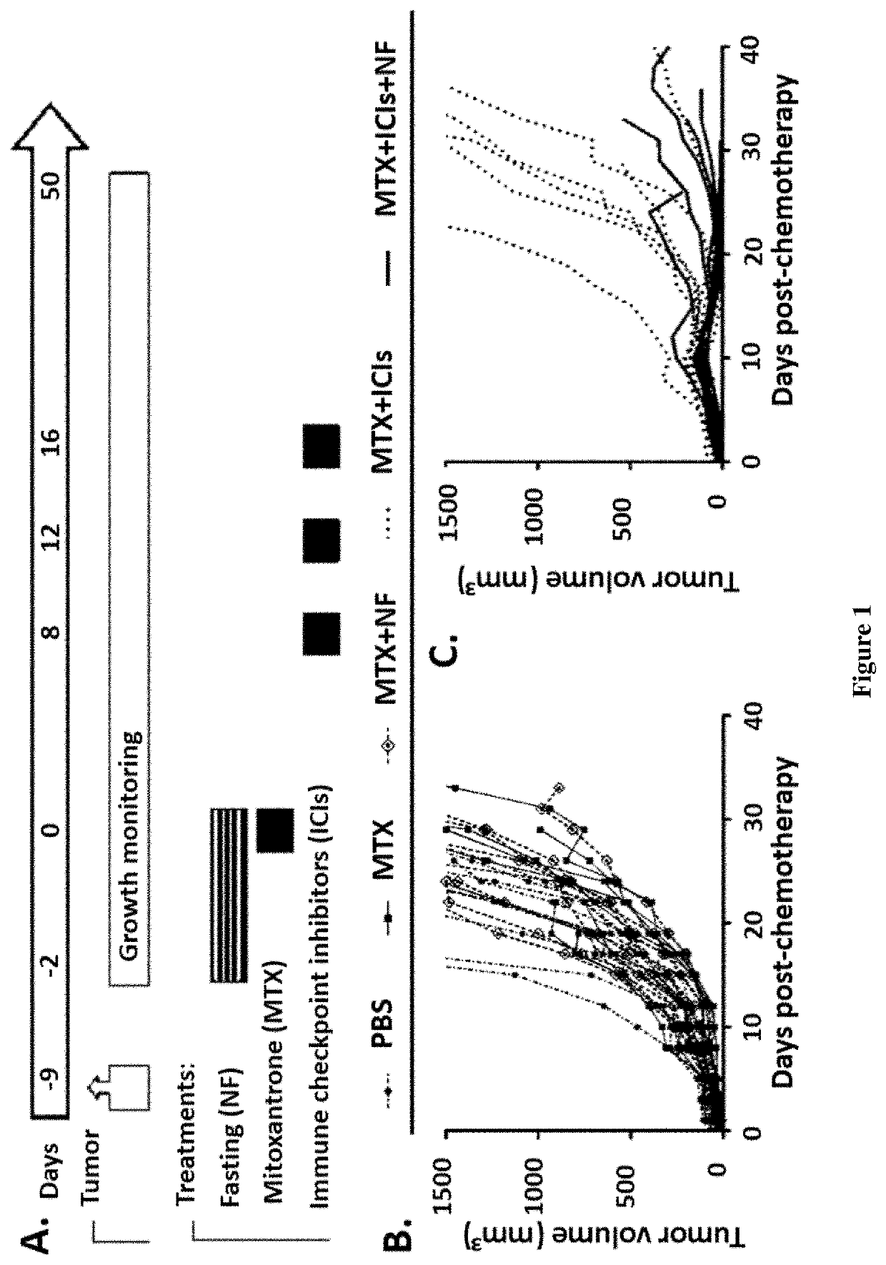 Use of caloric restriction mimetics for potentiating chemo-immunotherapy for the treatment of cancers