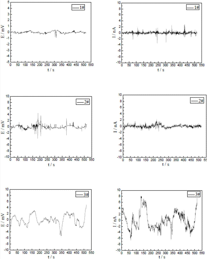 Electrochemical noise sensor for metal pipeline outer surface corrosion detection