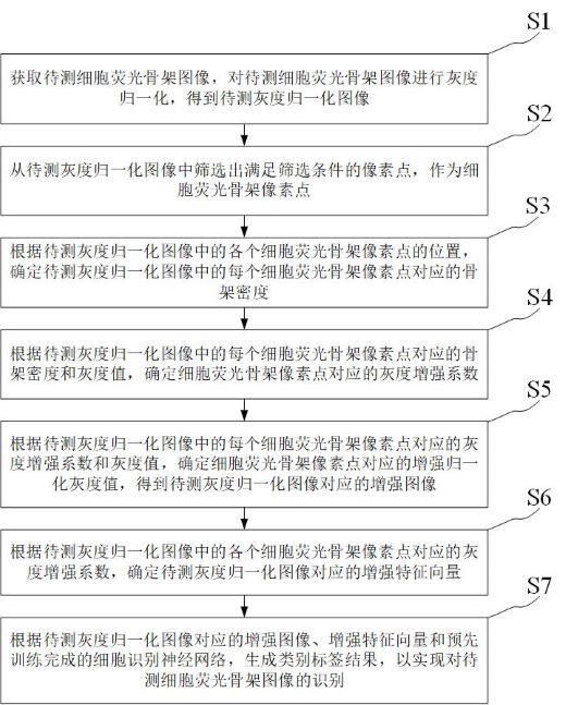 Cell Image Recognition Method and Device Based on Optical Means