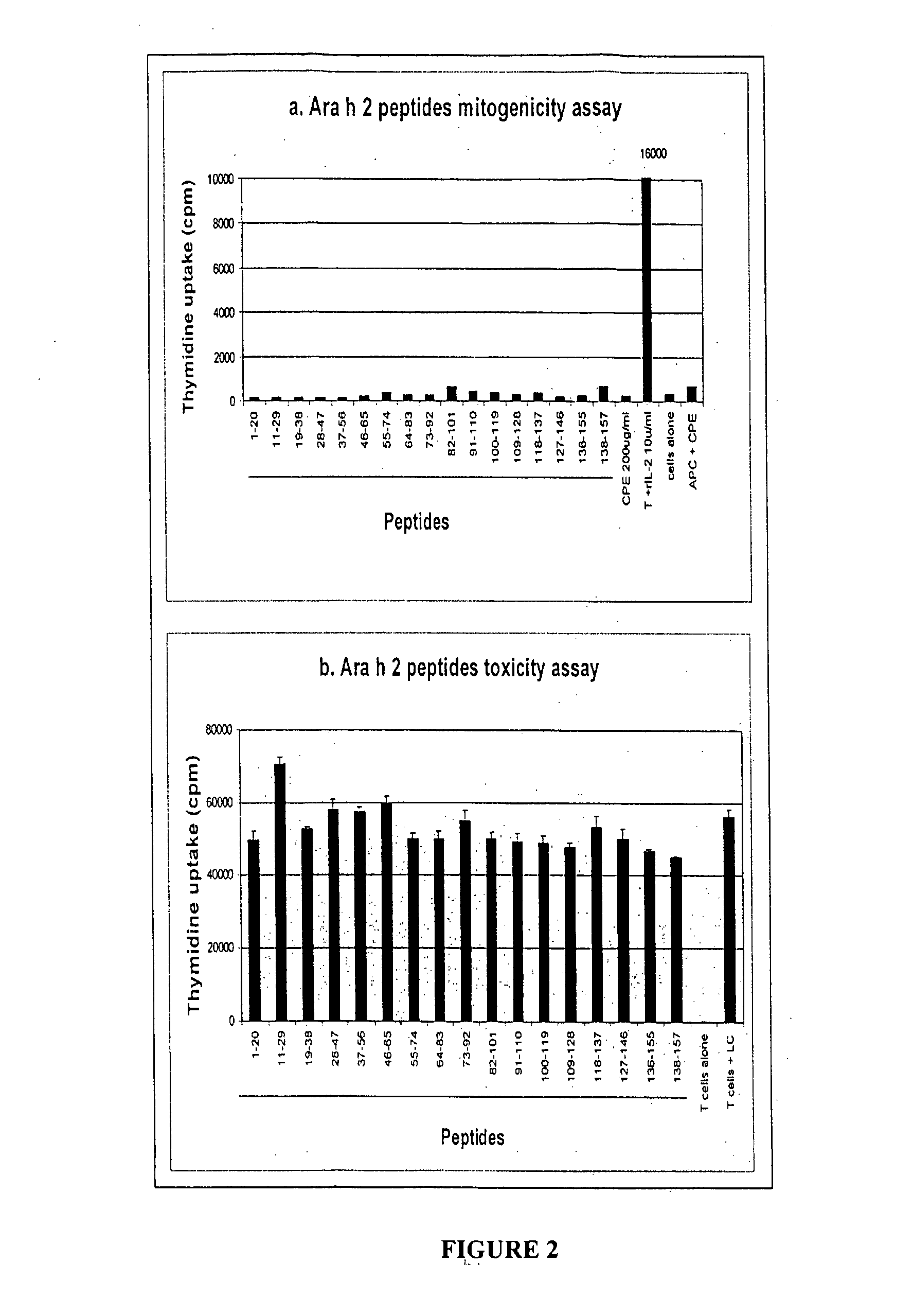 Novel Immunointeractive Molecules and uses Thereof