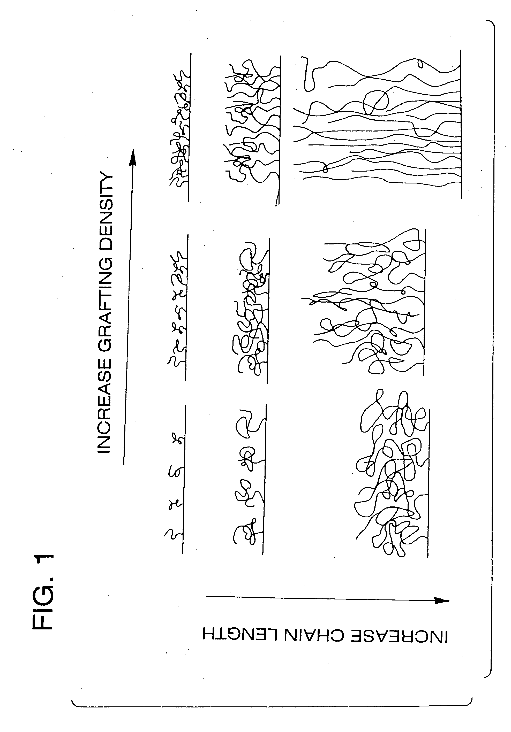 Polymer brushes for immobilizing molecules to a surface and having water-soluble or water-dispersible segments therein and probes bonded thereto