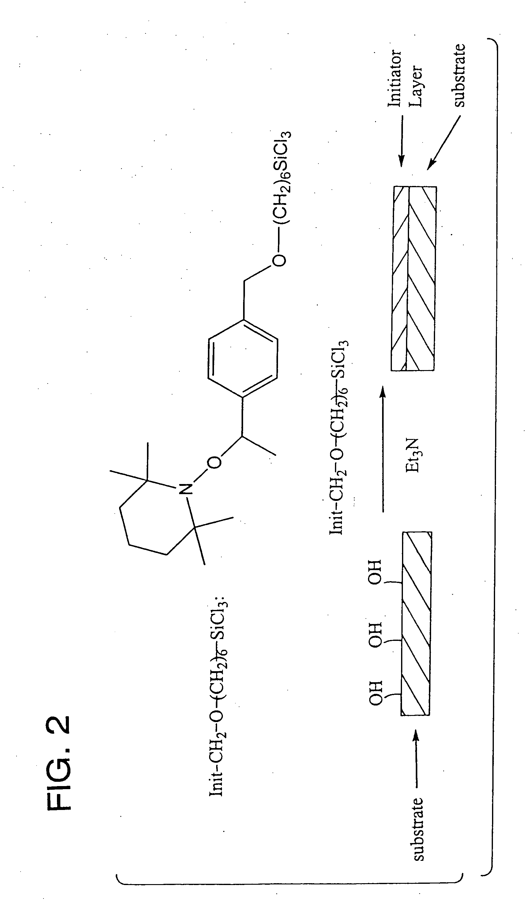 Polymer brushes for immobilizing molecules to a surface and having water-soluble or water-dispersible segments therein and probes bonded thereto
